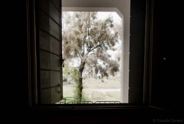 Le fotografie di Claudia Corrent - thumbnail_1