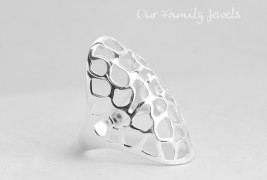 Our Family Jewels - thumbnail_2