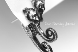 Our Family Jewels - thumbnail_3