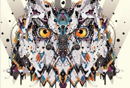 Animals by YoAz - thumbnail_4
