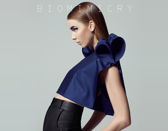 Biomimicry by Burcu Varol