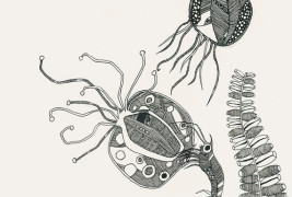Illustrations by Vilmoncela - thumbnail_4
