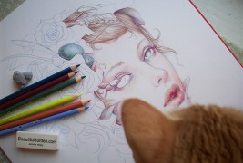 Illustrations by Jennifer Healy - thumbnail_3