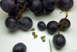 Miniature Art by Hasan Kale - thumbnail_6