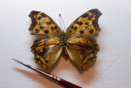 Miniature Art by Hasan Kale - thumbnail_9