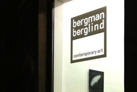 Bergman Berglind gallery - thumbnail_4