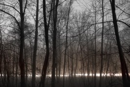 Lumen by Jurgen Heckel - thumbnail_3