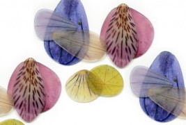 I gioielli di petali di Ahoy Ahimsa - thumbnail_1