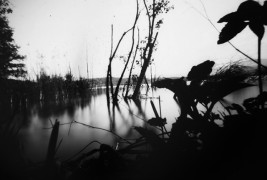 ONDU Pinhole Cameras - thumbnail_11