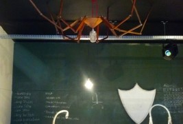 Arredamento Spider - thumbnail_3