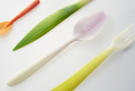 Graft tableware - thumbnail_1