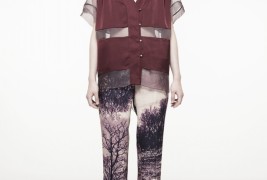 Cynthia Hayashi autunno/inverno 2013 - thumbnail_6