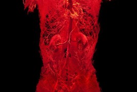 Bodies and Skulls - thumbnail_6